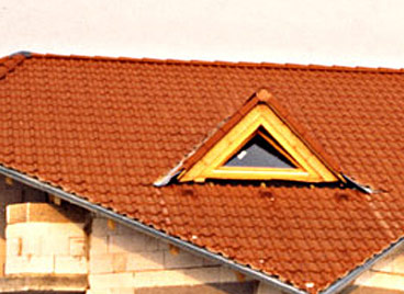 dachgauben